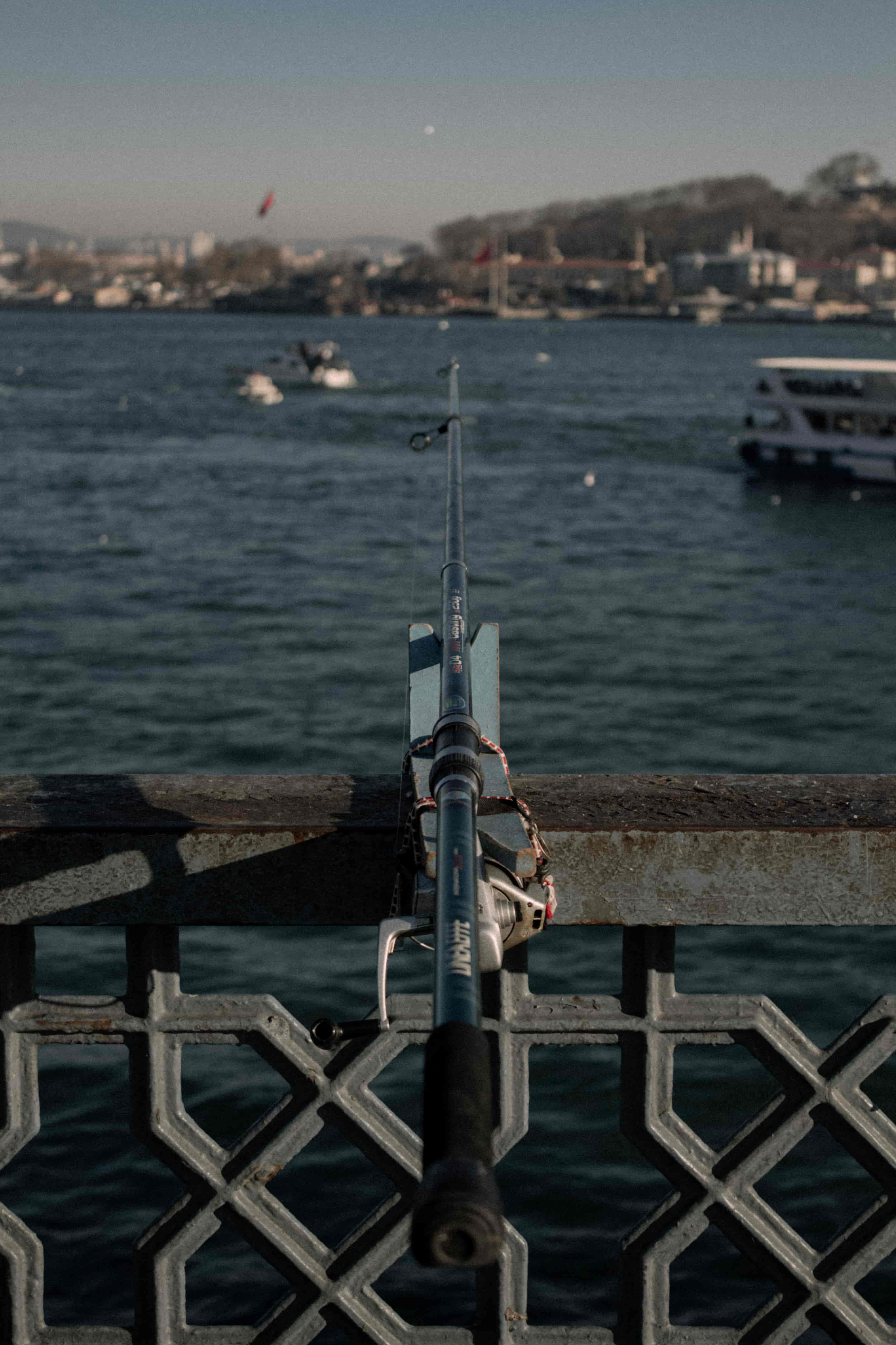 Spinning Rod vs Casting Rod: Which One Should You Choose?