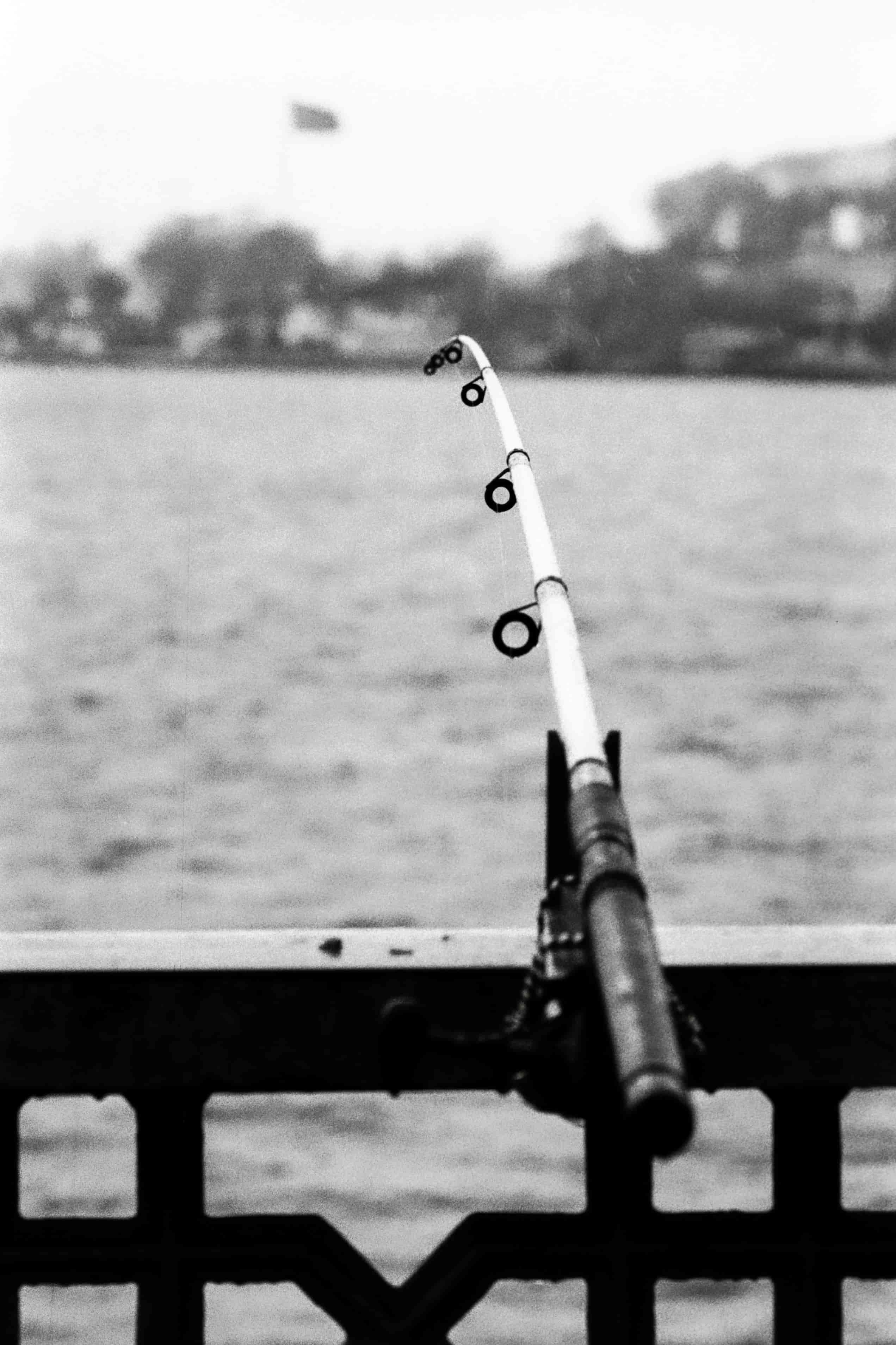How to Choose the Right Saltwater Fishing Rod