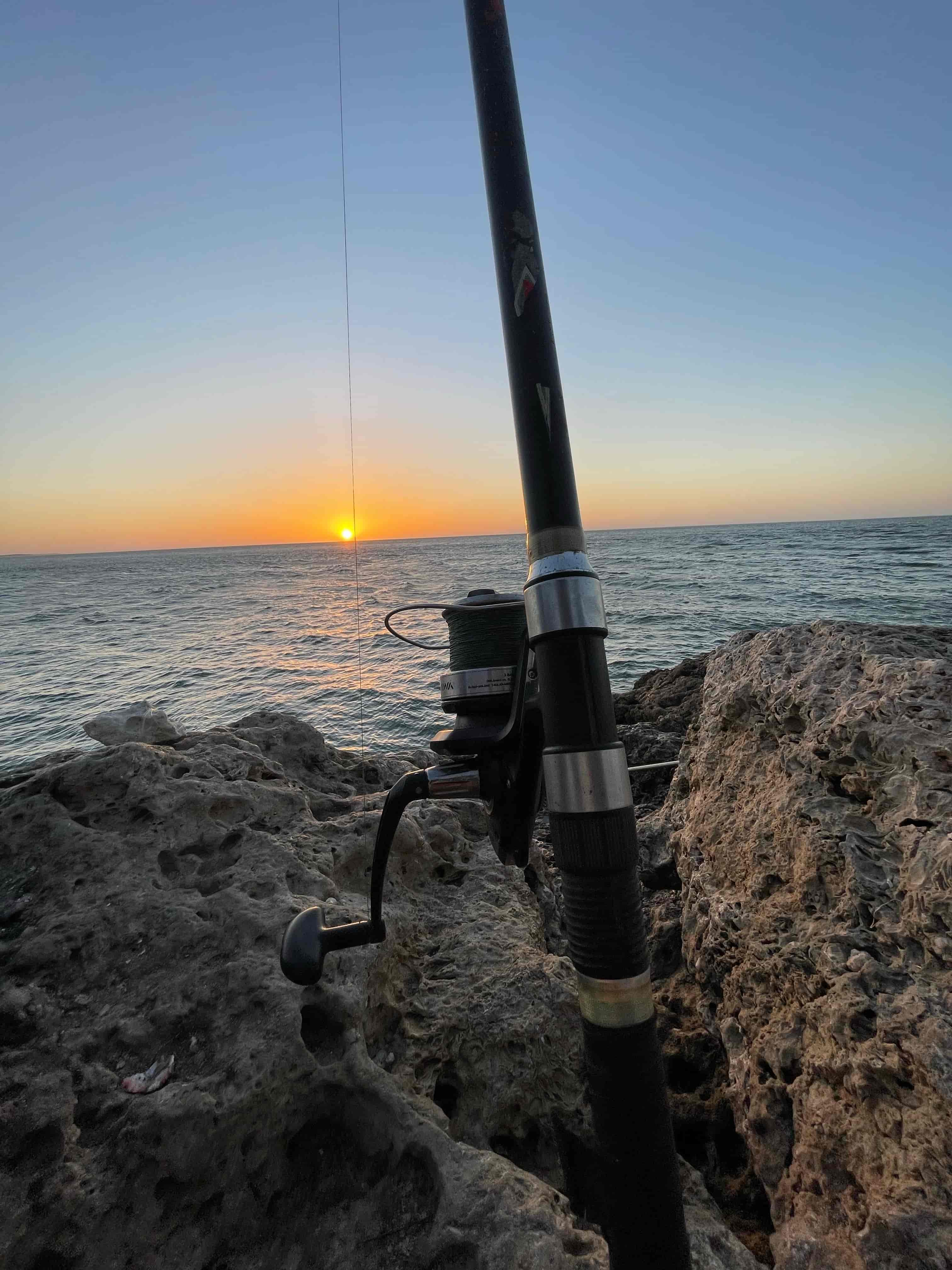 How Carbon Fiber Fishing Rods Are Made: From Blank Design to Finished Rod