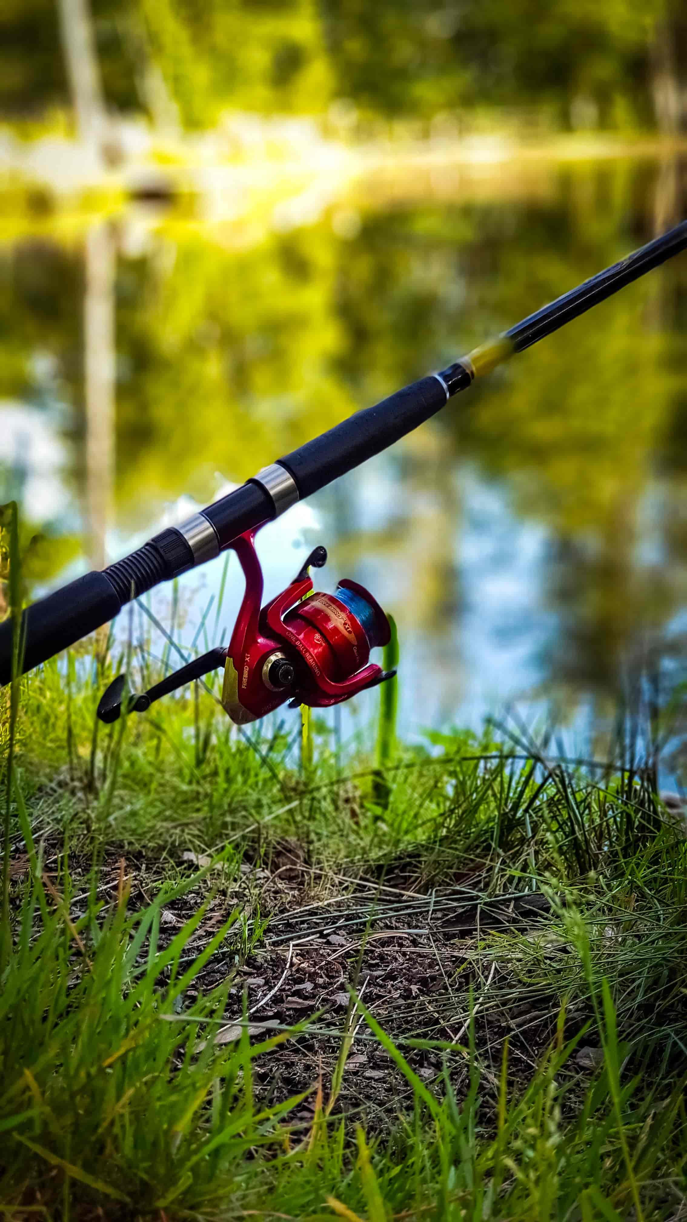 Jigging Rod vs Popping Rod: Key Differences and How to Choose